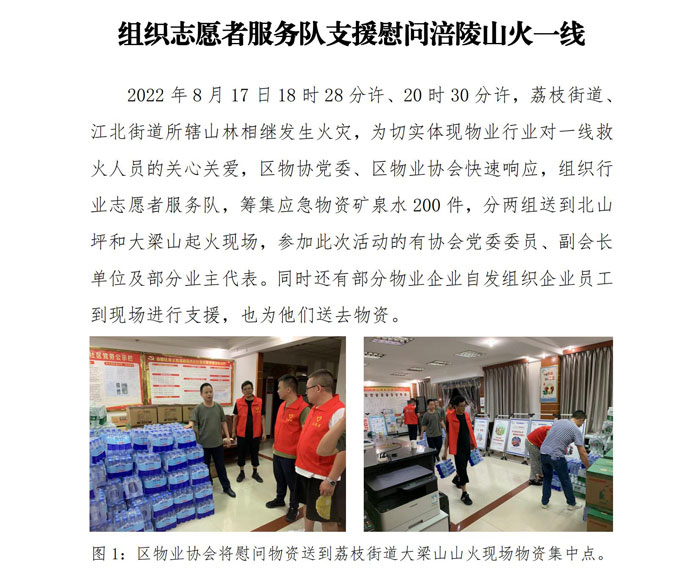 区物协组织志愿者服务队支援慰问涪陵山火一线_00.jpg