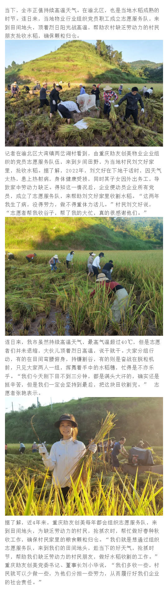 转自：渝北新闻网-党员志愿服务队战高温 助农收割水稻保丰收_壹伴长图1.jpg