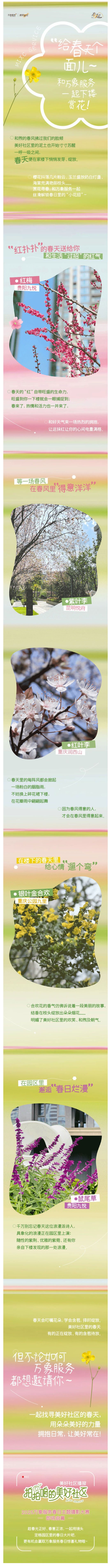 美好社区里的春日“小花招”_壹伴长图1.jpg