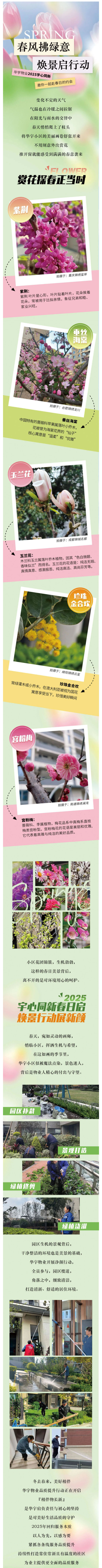 春风拂绿意-焕景启行动-_-华宇物业邀您共赴春日约会_壹伴长图1.jpg