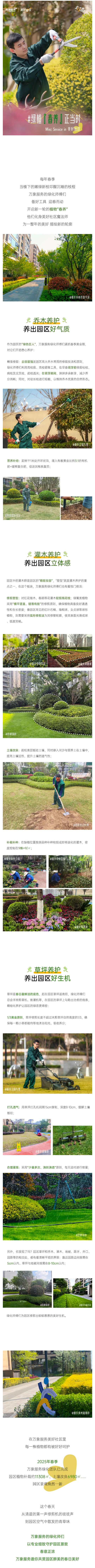质感空间-_-春意盎然，园区绿植“春养”正当时_壹伴长图1.jpg