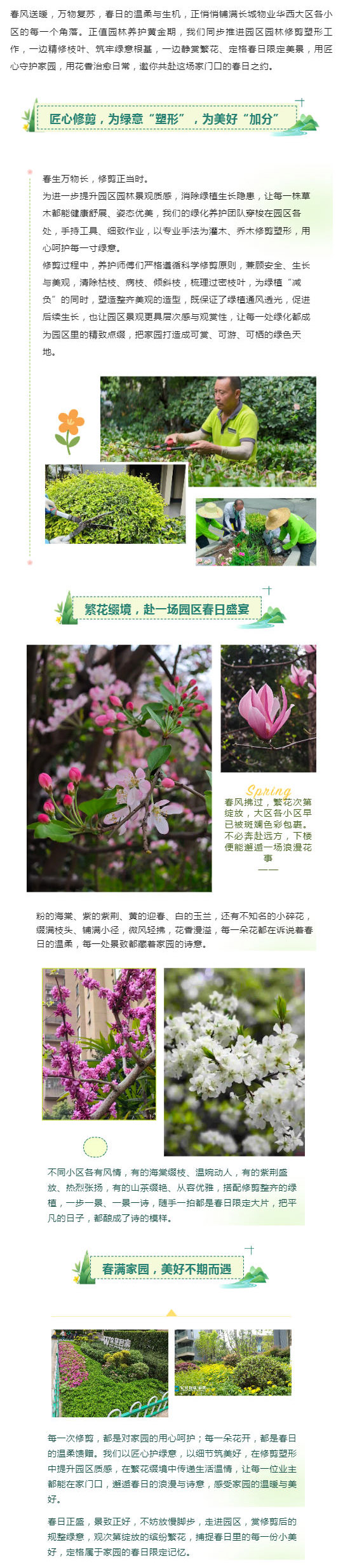 春满园区｜修剪塑形焕新颜，繁花缀境赴美好_壹伴长图1.jpg