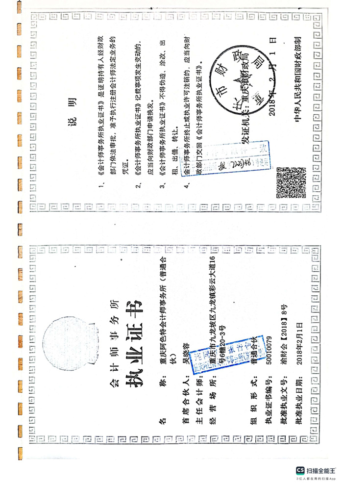 报告2024年审计_20.jpg
