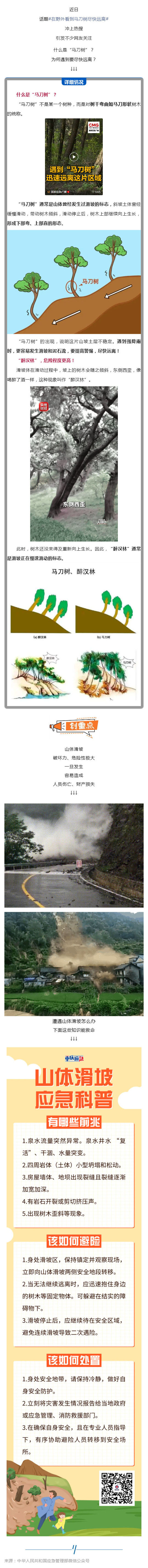 群防群治百日攻坚 (99)丨遇到“马刀树”“醉汉林”,快跑!_壹伴长图1.jpg